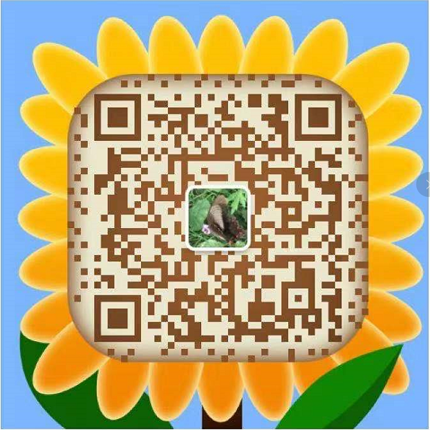 smt加工,smt貼片廠(chǎng),smt貼片加工,smt貼片加工廠(chǎng),貼片加工,貼片加工廠(chǎng),深圳smt貼片加工,樂(lè)鵬科技,深圳市樂(lè)鵬科技有限公司